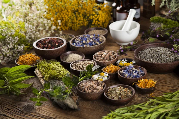 أعشاب طبيعية