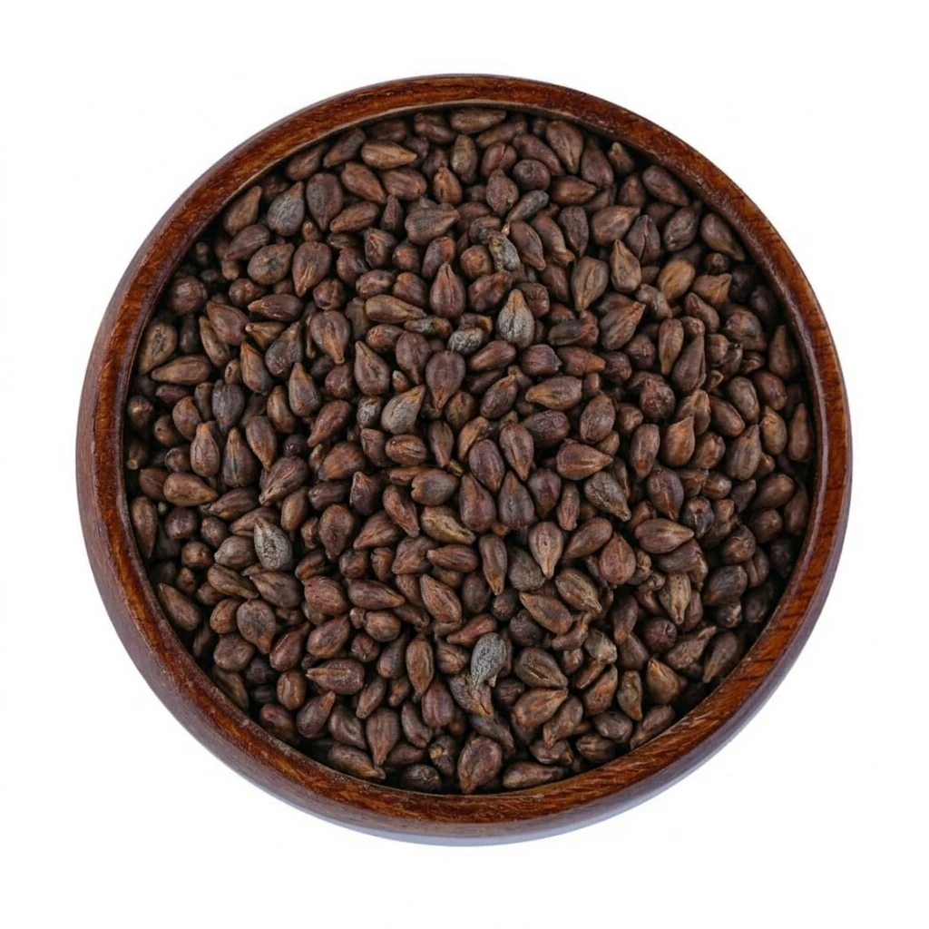 بذور العنب