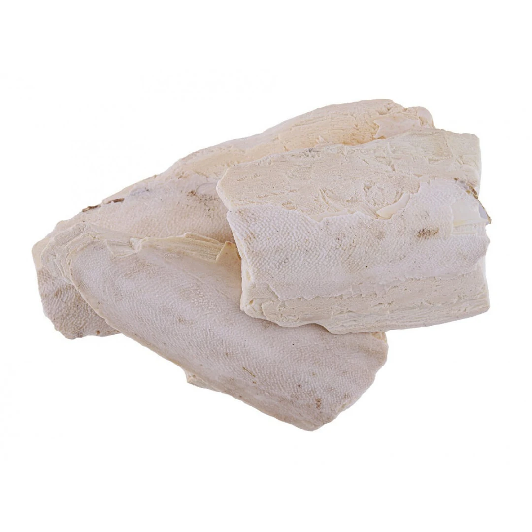 زبد البحر (عظمة الحبار)