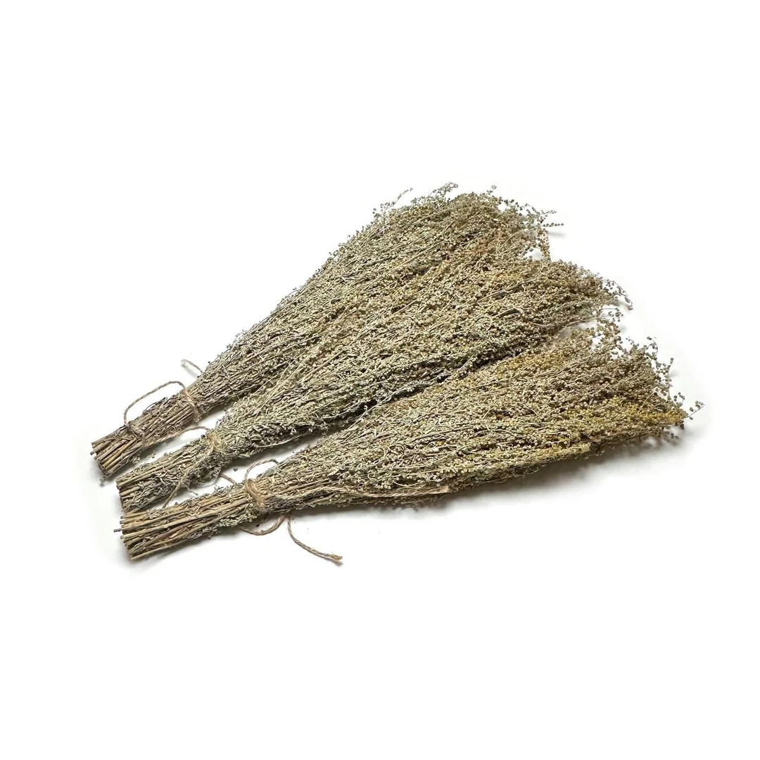 شيح (ربطة)