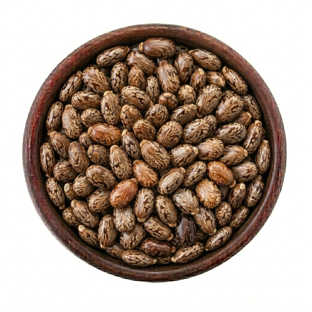 بذور الخروع