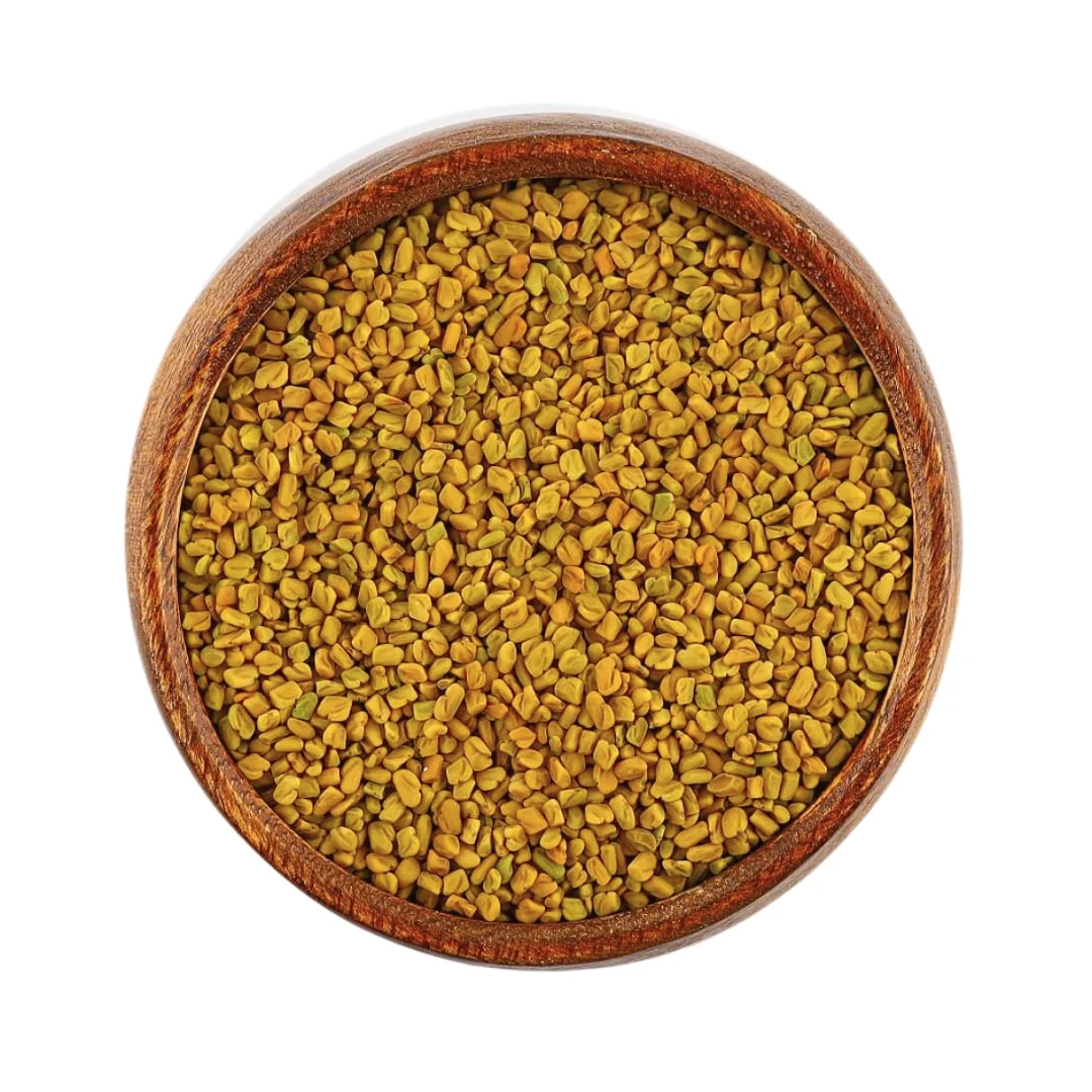 حلبة